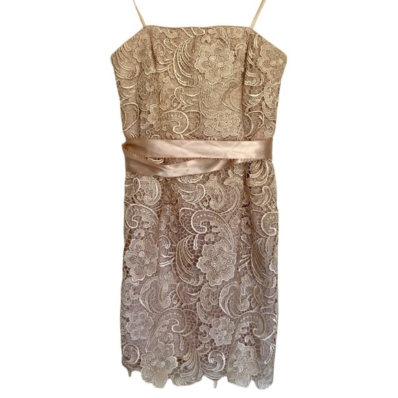 Adrianna Papell Gold Lace Overlay Knee Length Dress Women's Size 8 - Picture 1 of 5